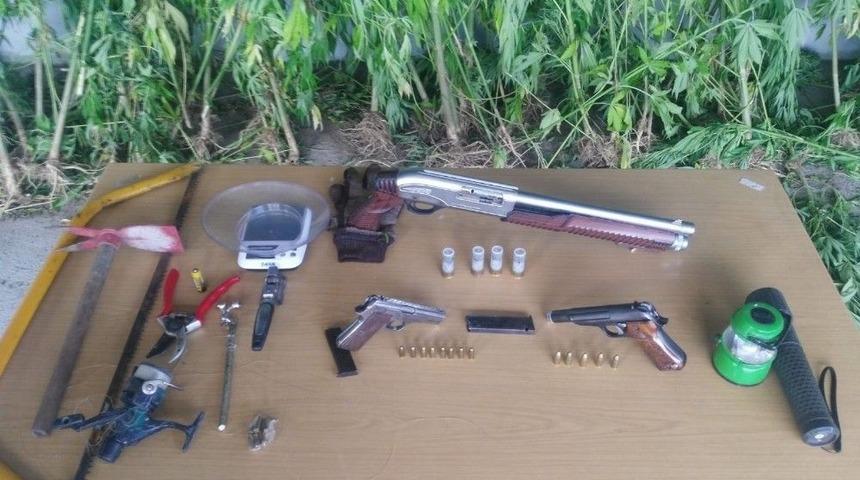 Jandarmadan Kenevir Operasyonu: 3 G&ouml;zaltı