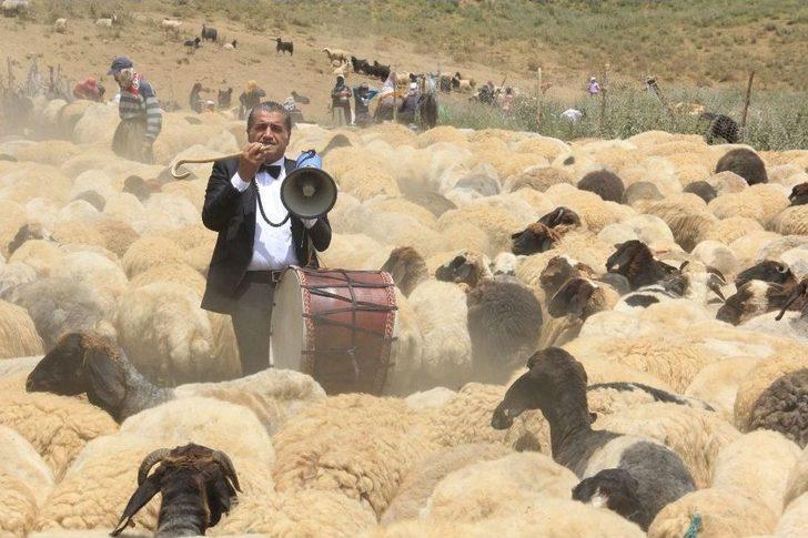 Ak Koyun İle Kara Koça Davul Zurnalı Düğün G1