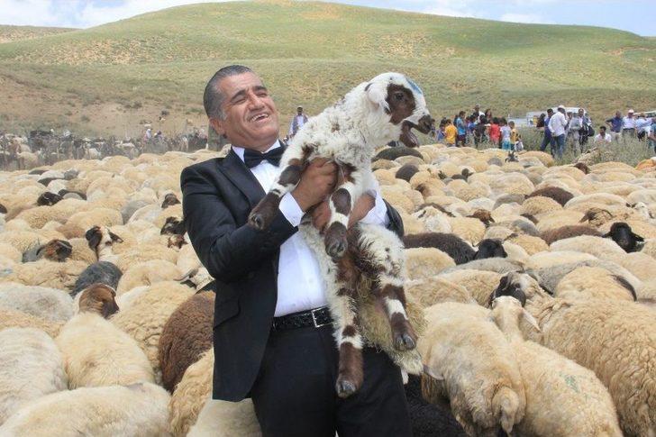 Ak Koyun İle Kara Koça Davul Zurnalı Düğün G3