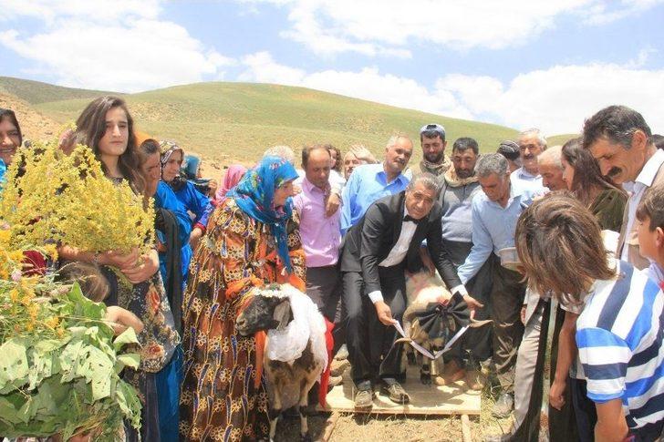 Ak Koyun İle Kara Koça Davul Zurnalı Düğün G5