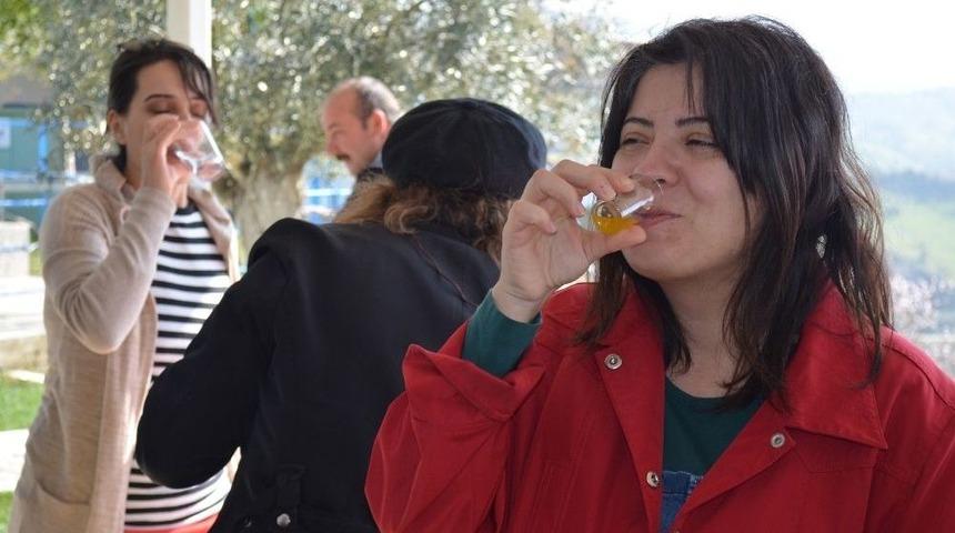 Ad&uuml;sem&rsquo;den Zeytinyağı Tadım Eğitimi