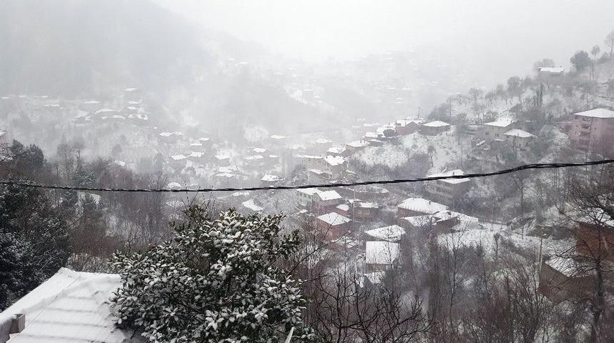 Zonguldak Beyaza B&uuml;r&uuml;nd&uuml;