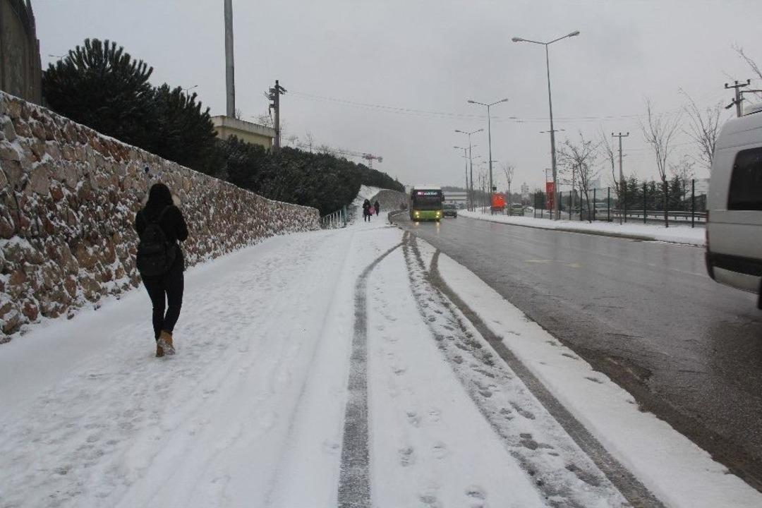 Kocaeli Beyaza B&uuml;r&uuml;nd&uuml;