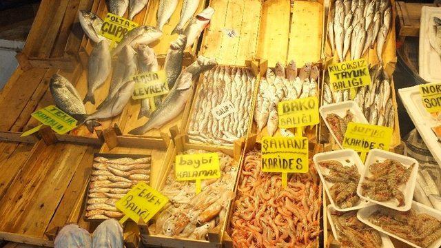 (özel Haber) Balık Tezgahlarında ’bako’ Sürprizi