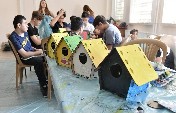 Sokak Hayvanları İçin Tasarladılar G2