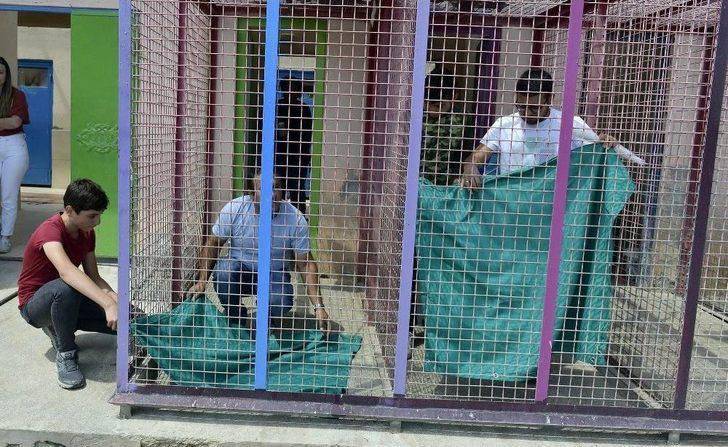 Sokak Hayvanları İçin Tasarladılar G5