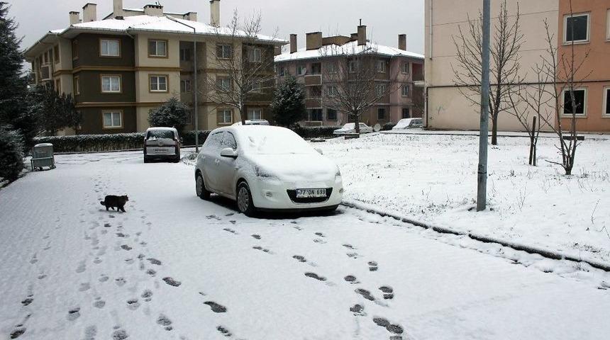 Yalova Beyaza B&uuml;r&uuml;nd&uuml;