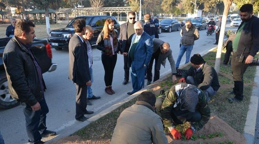 Birecik’in Çehresi Değişiyor