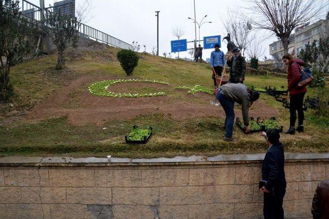 Birecik’in Çehresi Değişiyor 1