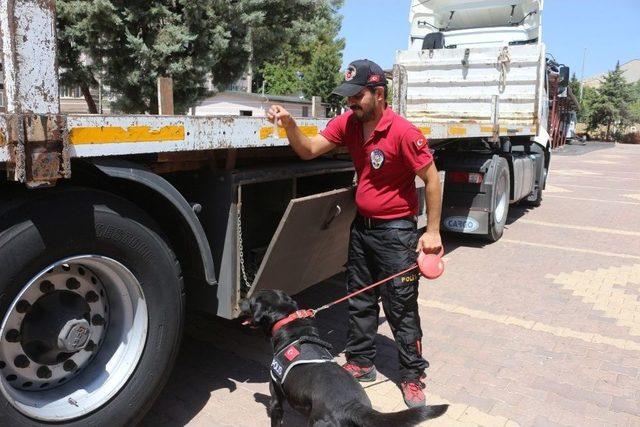 Zeta, Uyuşturucu Tacirlerine Korku Salıyor