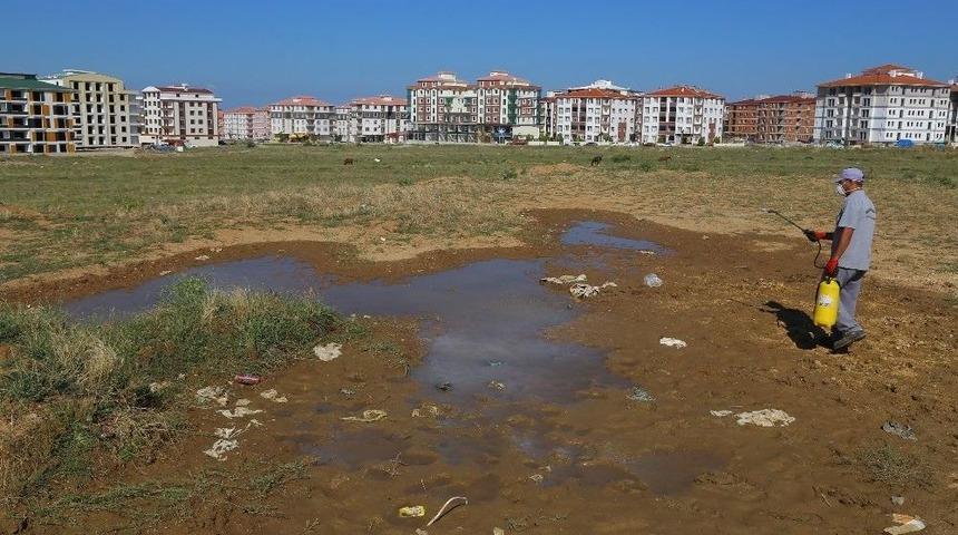 Kırklareli&rsquo;nde Haşere İla&ccedil;lama &Ccedil;alışmaları S&uuml;r&uuml;yor