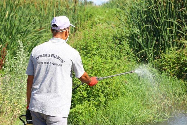 Kırklareli’nde Haşere İlaçlama Çalışmaları Sürüyor