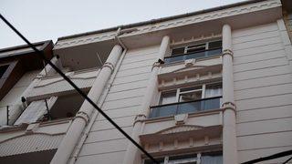 Evde Aç Ve Susuz Kalan Kediyi Belediye Ekipleri Kurtardı