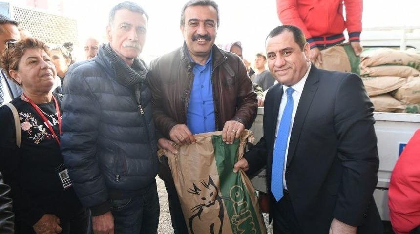 Çukurova Belediyesi Kediler İçin Mama Dağıttı