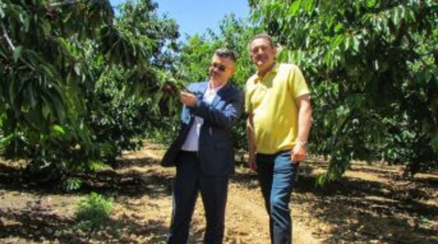 Avrupa Eskişehir Kirazı T&uuml;ketiyor