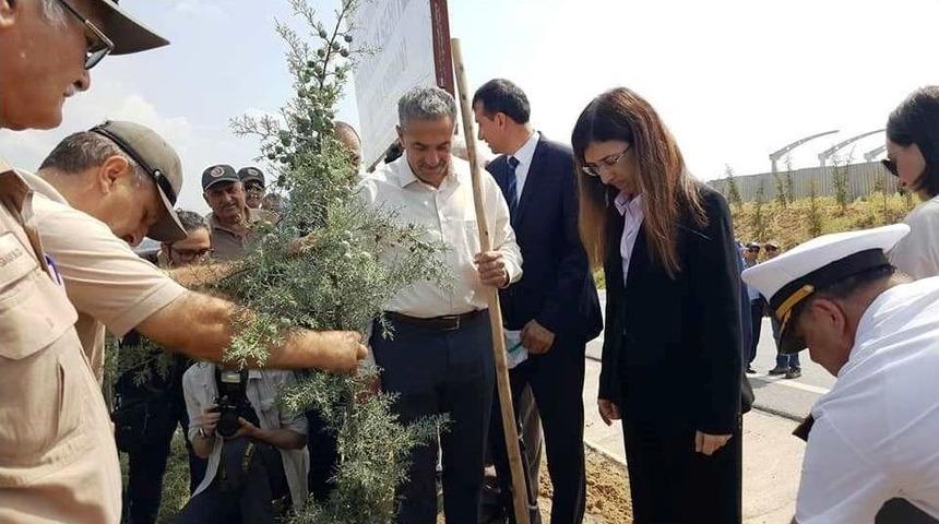 Şehitler İ&ccedil;in Hatıra Ormanı