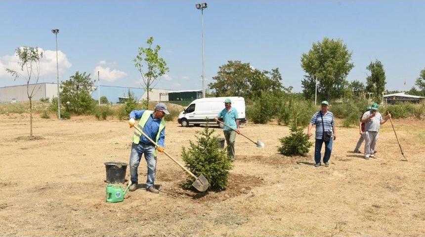 Demokrasi Şehitleri İ&ccedil;in 251 Fidan