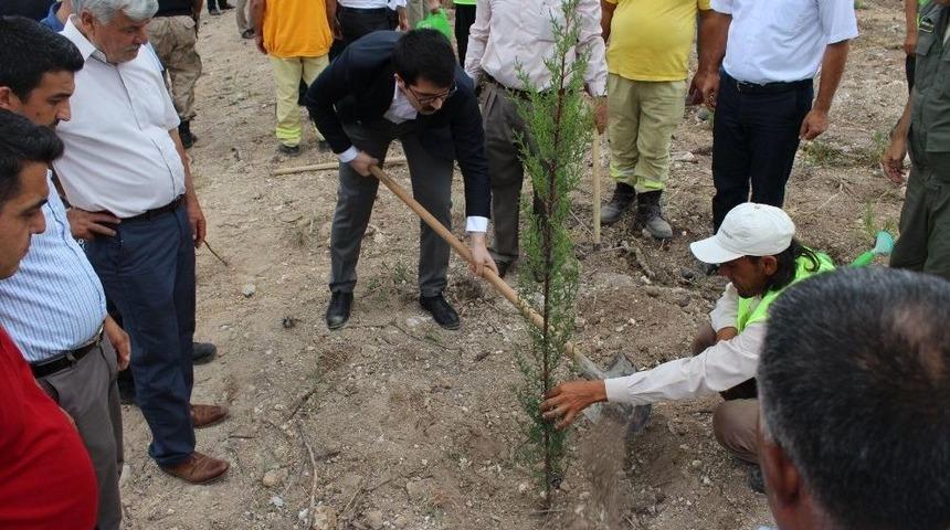 Sumbas&rsquo;ta 15 Temmuz Hatıra Ormanı Oluşturuldu