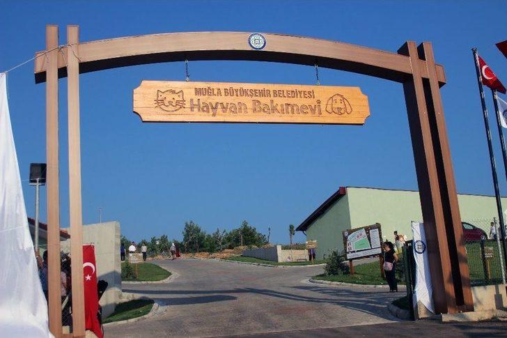 Geçici Hayvan Bakımevi Hizmete Açıldı G1