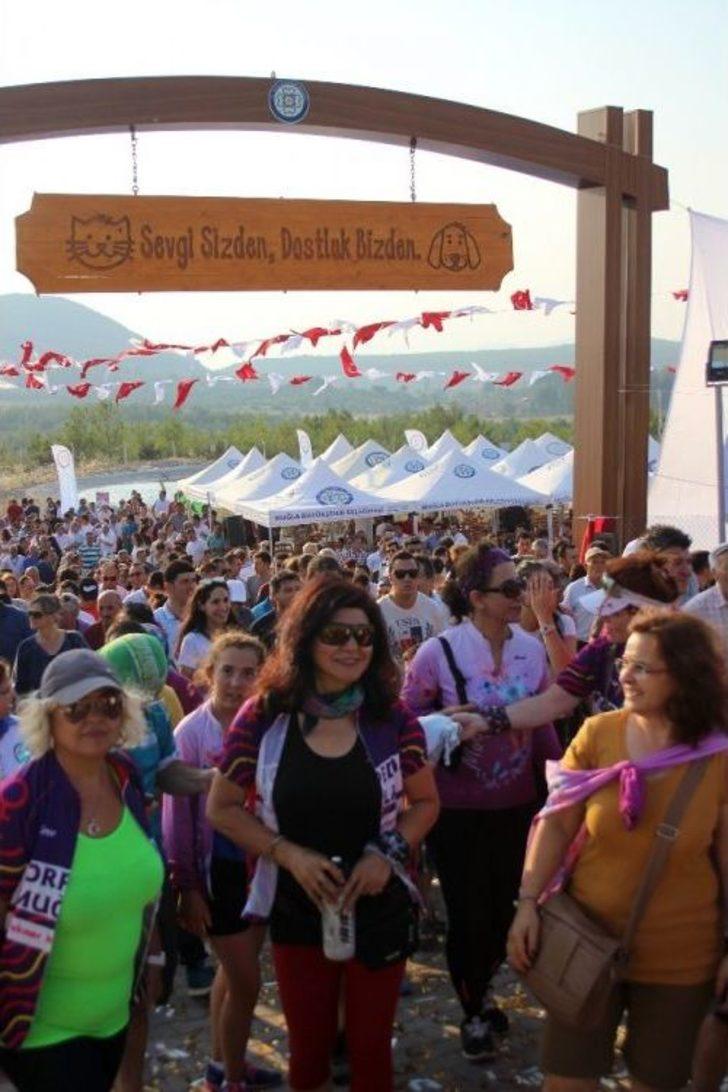 Geçici Hayvan Bakımevi Hizmete Açıldı G5