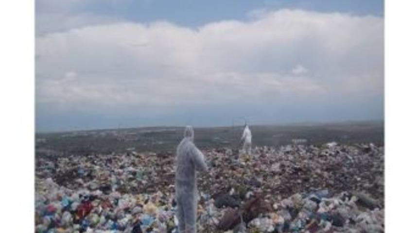 Kırşehir&rsquo;de U&ccedil;ucu Vekt&ouml;rlerle M&uuml;cadele Aralıksız S&uuml;r&uuml;yor