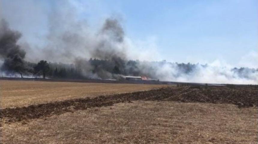 İzmir’de Orman Yangını