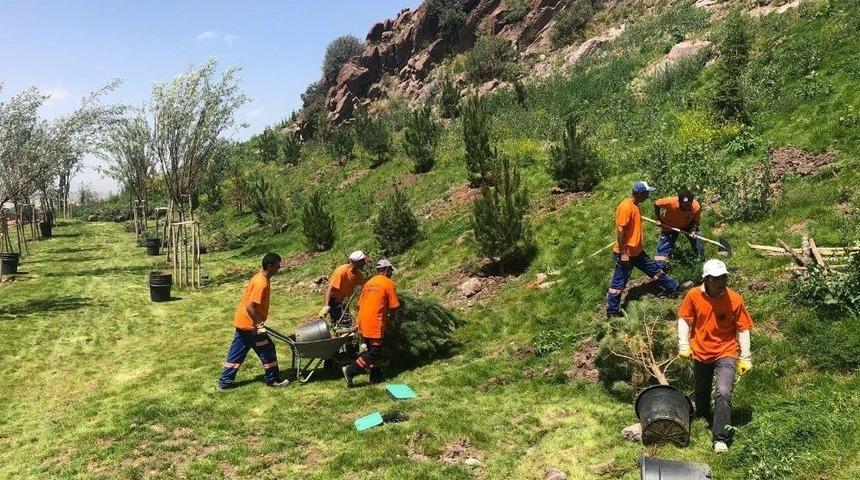 Altındağ&rsquo;ın Parklarına Yaz Bakımı