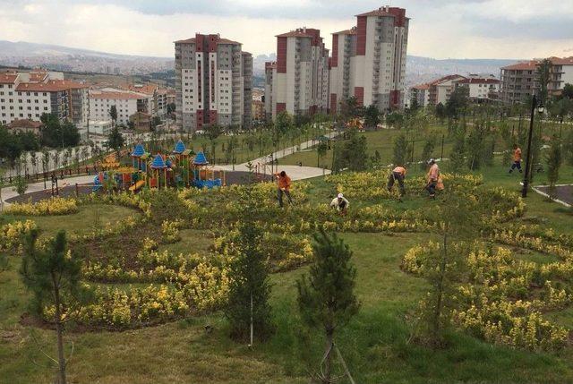 Altındağ’ın Parklarına Yaz Bakımı