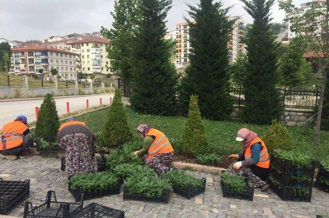 Altındağ’ın Parklarına Yaz Bakımı