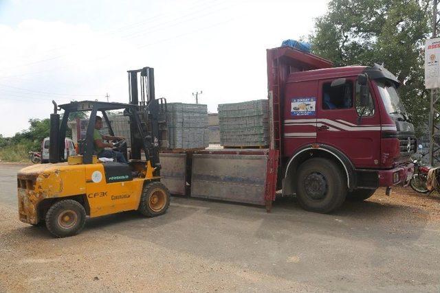 Başkan Tollu, &Ccedil;alışmaları Yerinde İnceledi 1