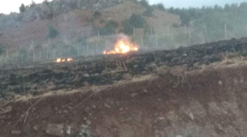 Anız Yangınında Alevler Ormana Sıçramadan Söndürüldü