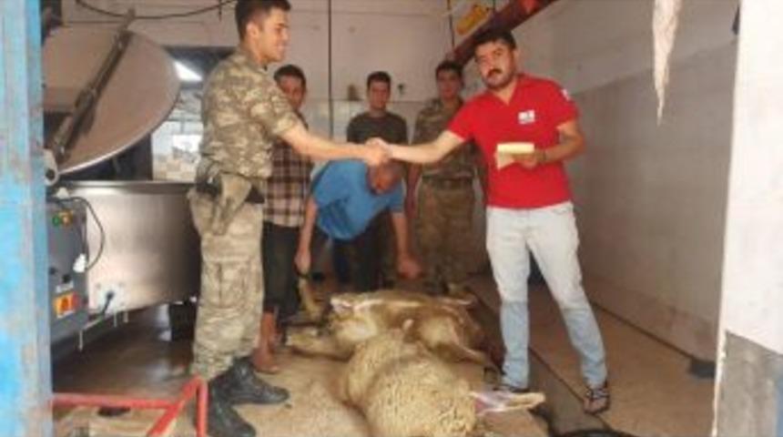 "&ccedil;&ouml;l Tilkileri", Kızılay&rsquo;a Adak Kurban Bağışında Bulundu
