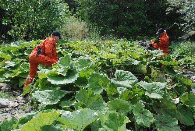 Jak Timleri 4 Gündür Kayıp Olan 3,5 Yaşındaki Evrim’i Derede Arıyor