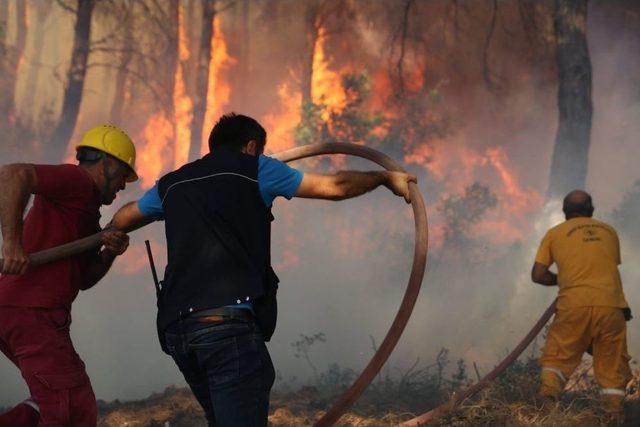 İzmir’deki Orman Yangınını Söndürme Çalışmaları Sürüyor