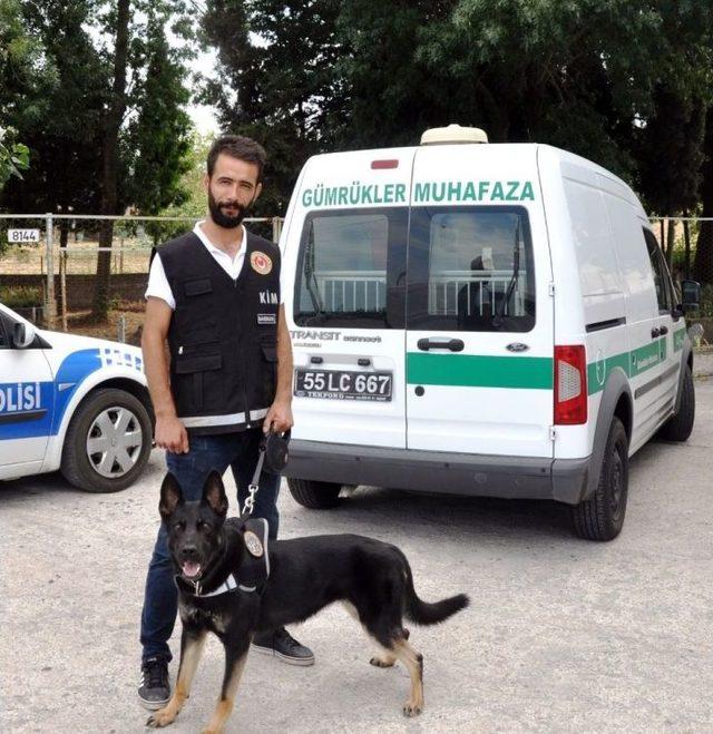 Samsun’da Yurt Dışı Bağlantılı Uyuşturucu Operasyonu