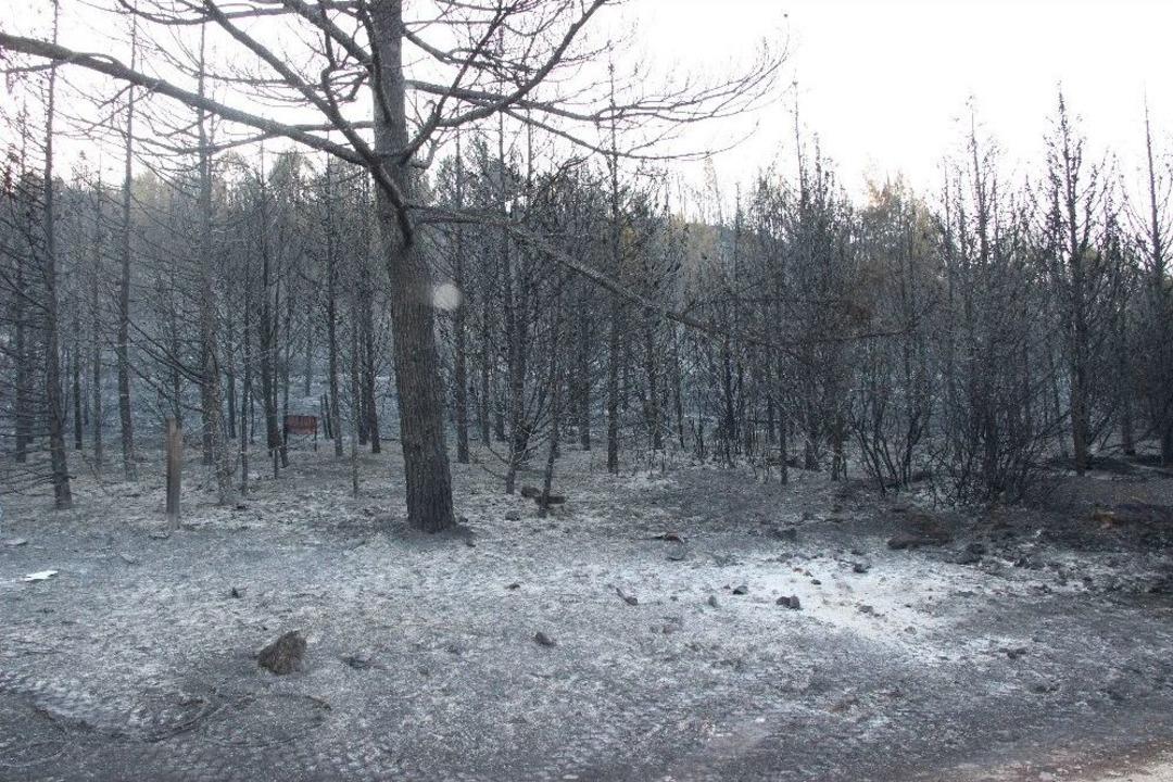 İzmir&rsquo;deki Yangından Geriye Kalan G&ouml;r&uuml;nt&uuml;ler Y&uuml;rek Burktu