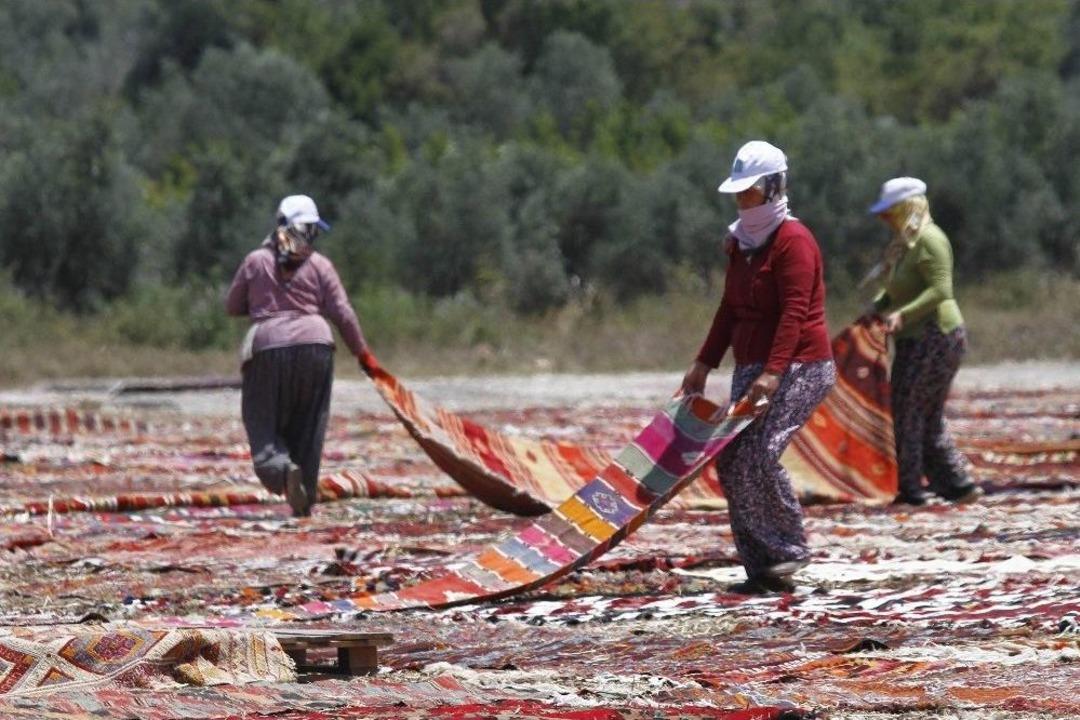 Buğday Tarlası, Halı Tarlasına D&ouml;n&uuml;şt&uuml;