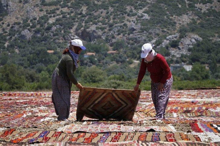 Buğday Tarlası, Halı Tarlasına Dönüştü G2