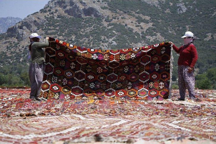 Buğday Tarlası, Halı Tarlasına Dönüştü G3