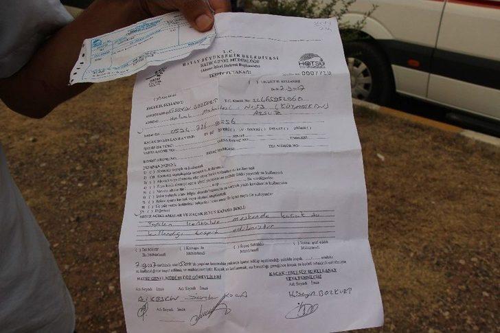 Hatay’da Hatsu Personelinin Vatandaşı Darp Ettiği İddiası G2