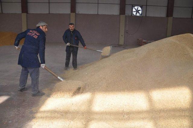 Devlet Desteğiyle Yem Fabrikası Kurdu