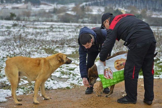 Maltepe’de 200 Personelle Kar Mücadelesi