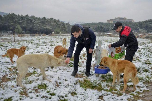 Maltepe’de 200 Personelle Kar Mücadelesi