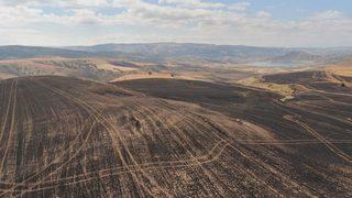 Felahiye’de 540 Dekar Alan Yangında Zarar Gördü