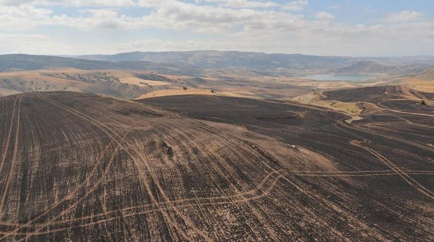 Felahiye’de 540 Dekar Alan Yangında Zarar Gördü
