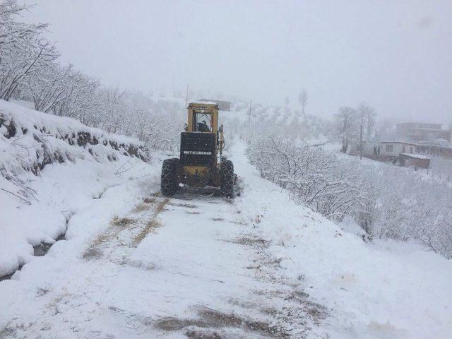 Ordu, Hazır Kıta