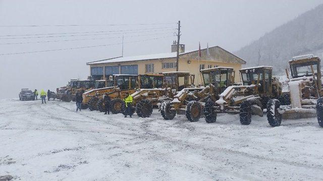 Ordu, Hazır Kıta