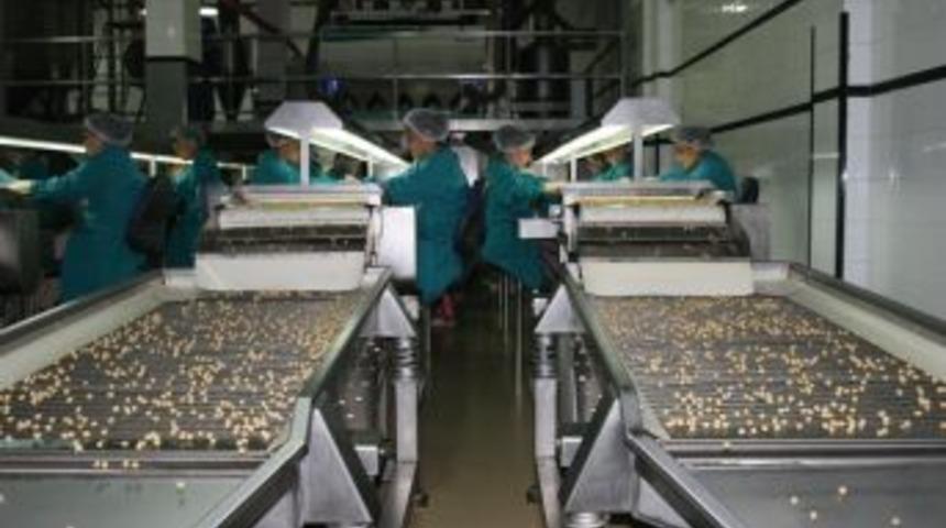 Fındık İhracatı 6 Ayda 1 Milyar Doları Ge&ccedil;ti