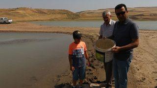 Yaylalardan Sonra Meralara Da Huzur Geldi