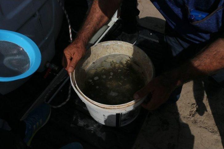 Yaylalardan Sonra Meralara Da Huzur Geldi G2